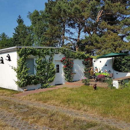 Вилла Ferienhaeuschen Борн Экстерьер фото